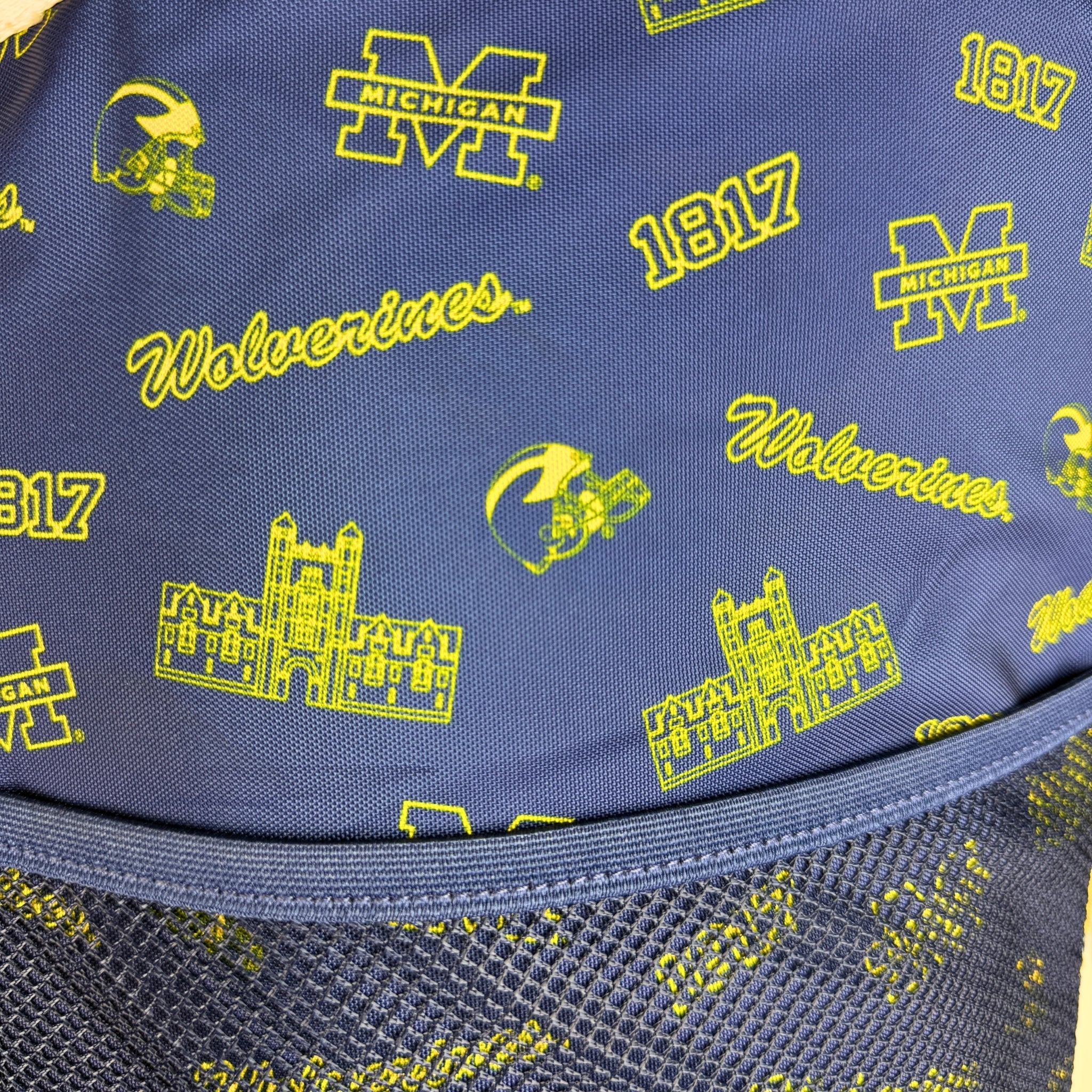 University of Michigan Backpack Cooler