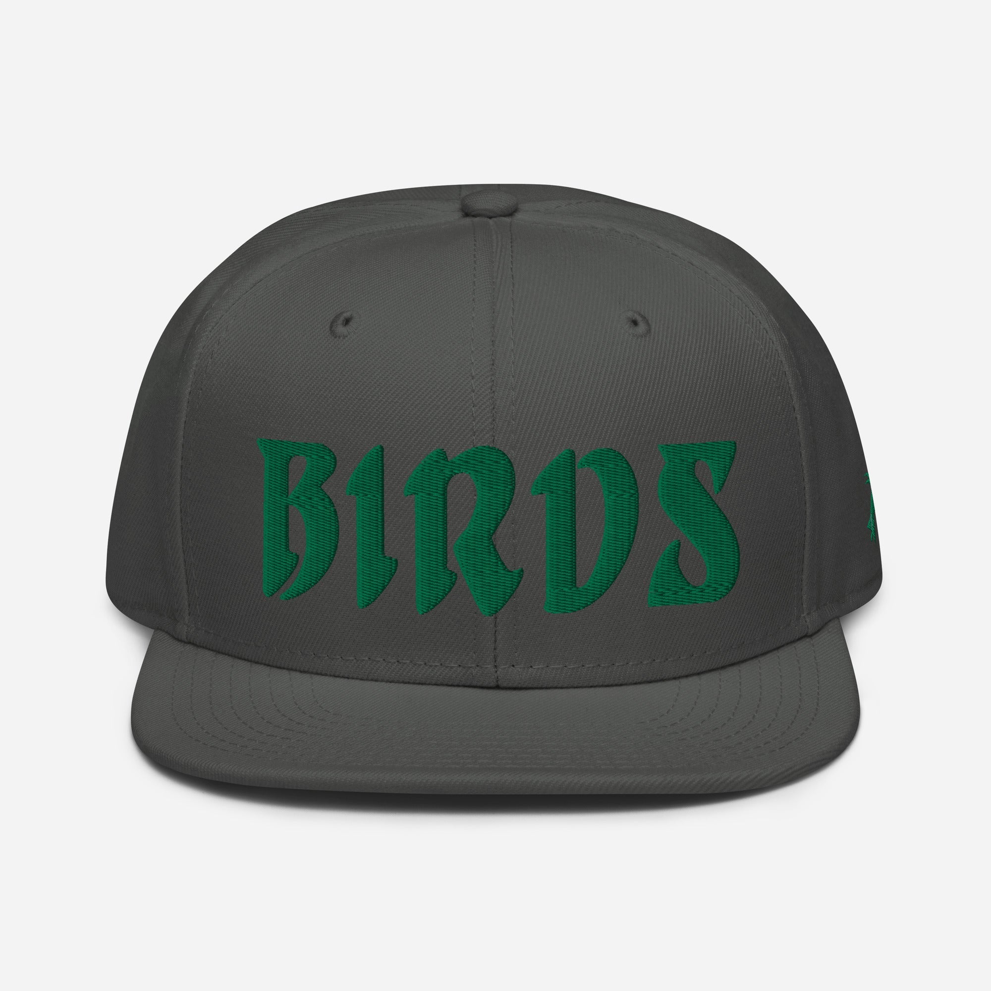 "BIRDS" Snapback Hat