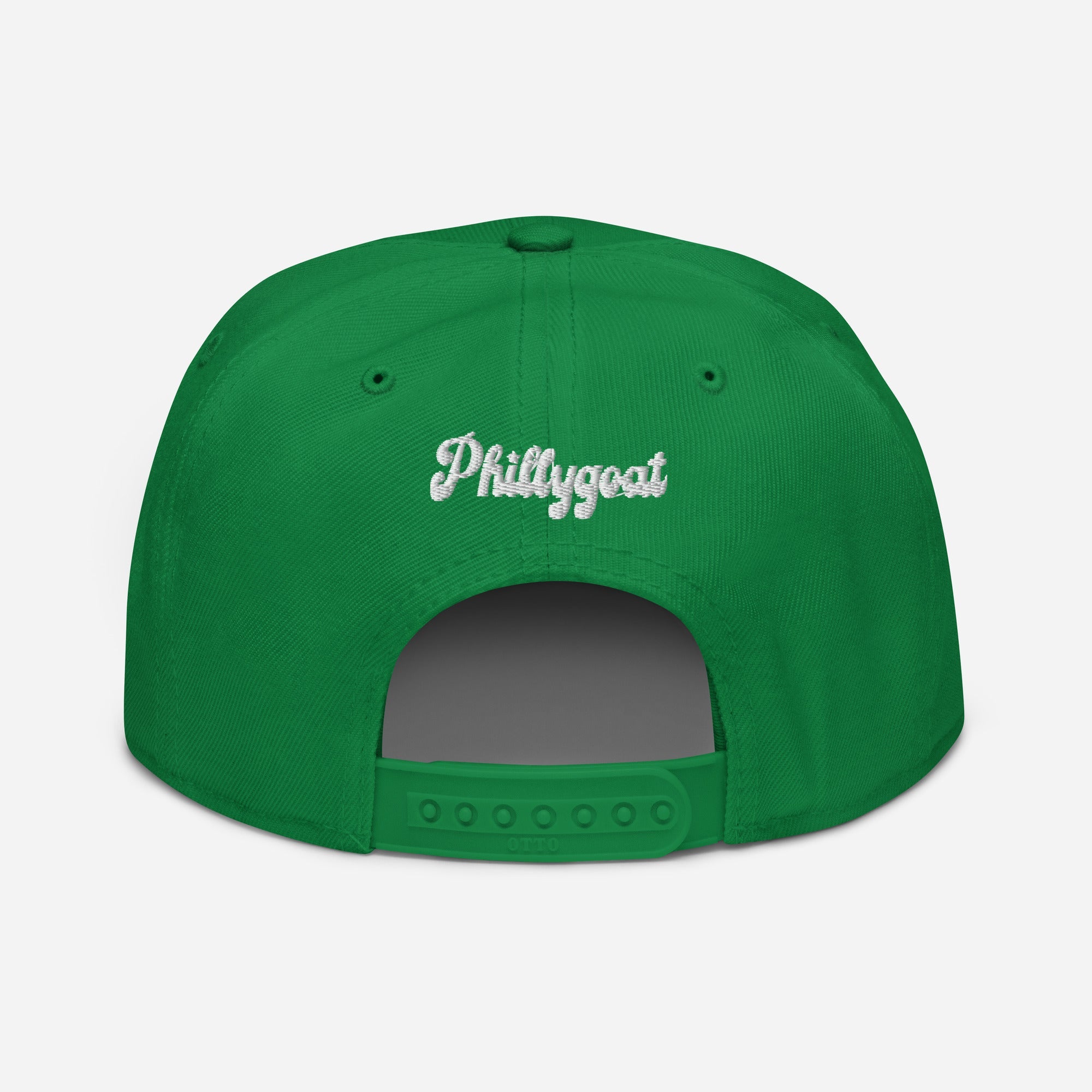 "BIRDS" Snapback Hat